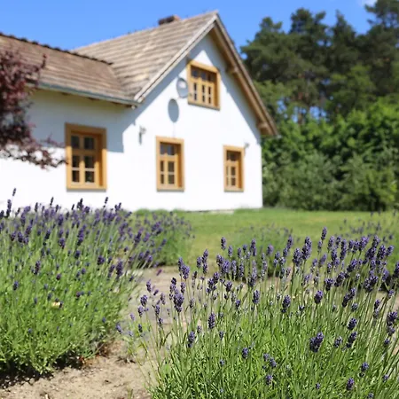 Ulanska Zagroda 4*